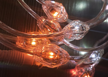 천사 22mm 직경을 전망하는 360 도가 명확한 LED 커튼 끈에 의하여 점화합니다