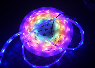 개인적으로 통제되는 낮은 전압 180도 RGB 가동 가능한 LED 지구