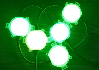 장식적인 LED 점광원 DC24V 실내 옥외 아트 쇼 사건 사용